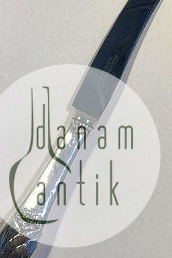 Evald Nielsen No 6 Sterling Sølv Frugtkniv/Barnekniv