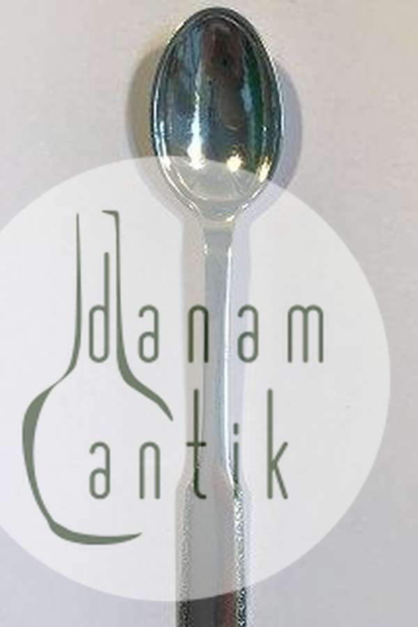 Evald Nielsen No 25 Sølv The Ske