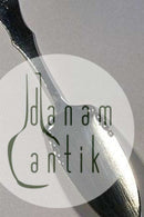 Seemöwe, Silber, Servierspaten