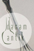 Möwe, Silber, Asia-Gabel