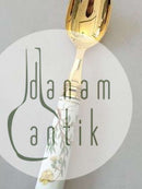 Royal Copenhagen Michelsen Georg Jensen Flora Danica Dinner Spoon