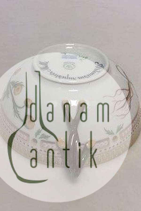 Royal Copenhagen Flora Danica Bouillon Kop med underskål No 20/3612