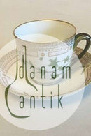 Royal Copenhagen Flora Danica Coffee Cup and Saucer No 20/3597