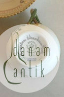 Royal Copenhagen Flora Danica Kaffekop og Underkop No 20/3597