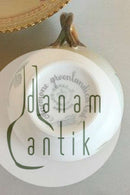 Royal Copenhagen Flora Danica Kaffekop og Underkop No 20/3597