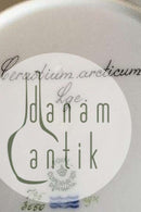 Royal Copenhagen Flora Danica Lunch Plate No 735/3550