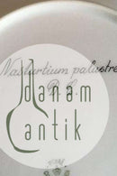 Royal Copenhagen Flora Danica Lunch Plate No 735/3550