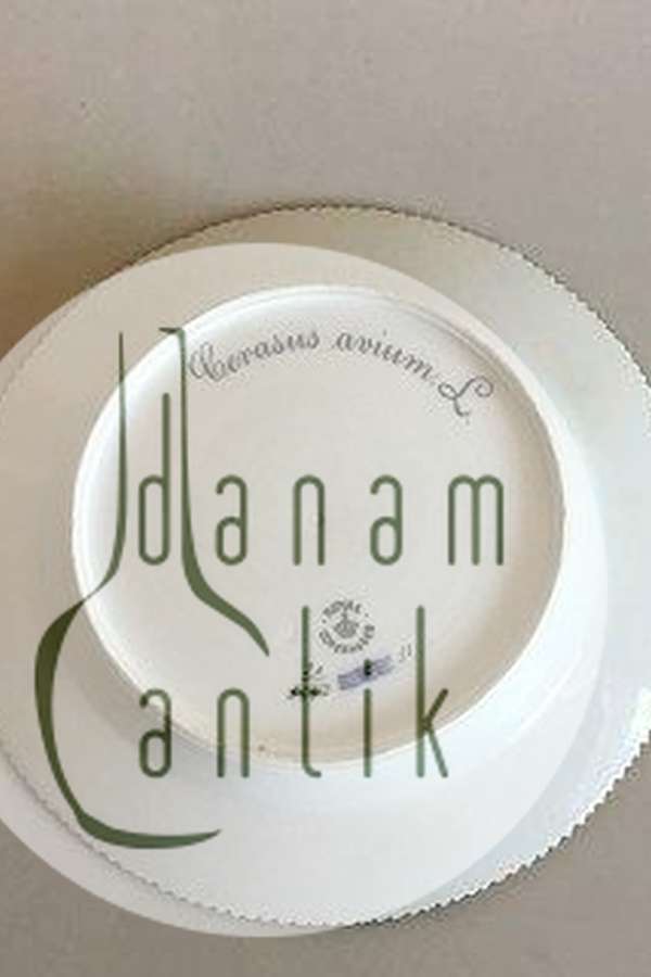 Royal Copenhagen Flora Danica  Frokosttallerken No 20/3550