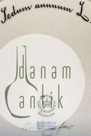 Royal Copenhagen Flora Danica Mittagsteller Nr. 20/3550