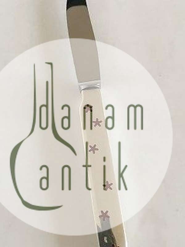 Anton Michelsen Sterling Sølv Barnekniv med Emalje Motiv