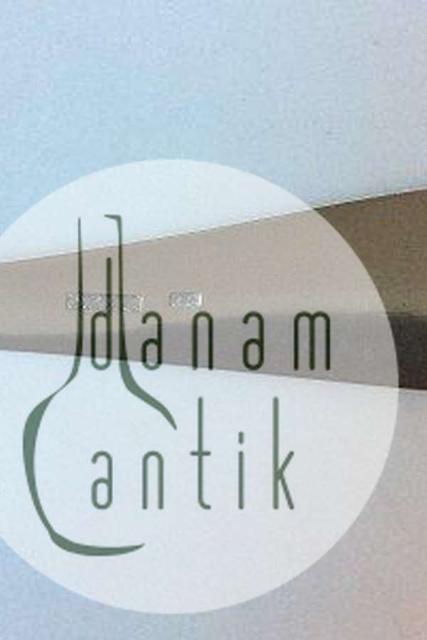 Stor suppeøse af sølv.