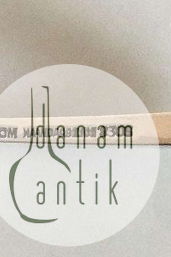 Pålægsgaffel i sølv