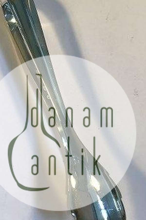 W & S Sørensen Sølv Isterning tang