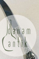 Evald Nielsen No. 2 Frugtkniv / Barnekniv i Sterling Sølv og Rustfrit Stål