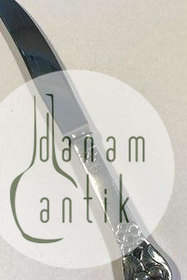 Evald Nielsen No. 2 Frugtkniv / Barnekniv i Sterling Sølv og Rustfrit Stål