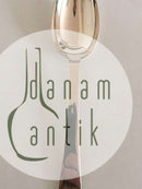 汉斯-汉森银质4号甜点勺子