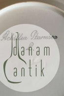 Royal Copenhagen Flora Danica Spisetallerken No 735/3549