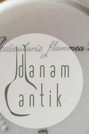 Royal Copenhagen Flora Danica Spisetallerken No 735/3549