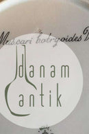 Royal Copenhagen Flora Danica Spisetallerken No 735/3549