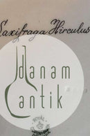 Royal Copenhagen Flora Danica Spisetallerken No 735/3549