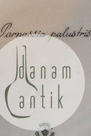 Royal Copenhagen Flora Danica Spisetallerken No 735/3549