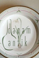 Royal Copenhagen Flora Danica Speiseteller Nr. 735/3549