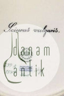 Royal Copenhagen Flora Danica Jagtstel Middagstallerken No 239/3549