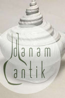 Royal Copenhagen Hvid Konkylie Terrin No 14180