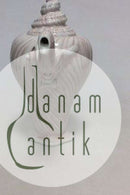 Royal Copenhagen Rosa Konkylie Kaffekande No 14181