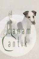 Bing og Grøndahl Figur af Ruhåret Foxterrier No. 1998
