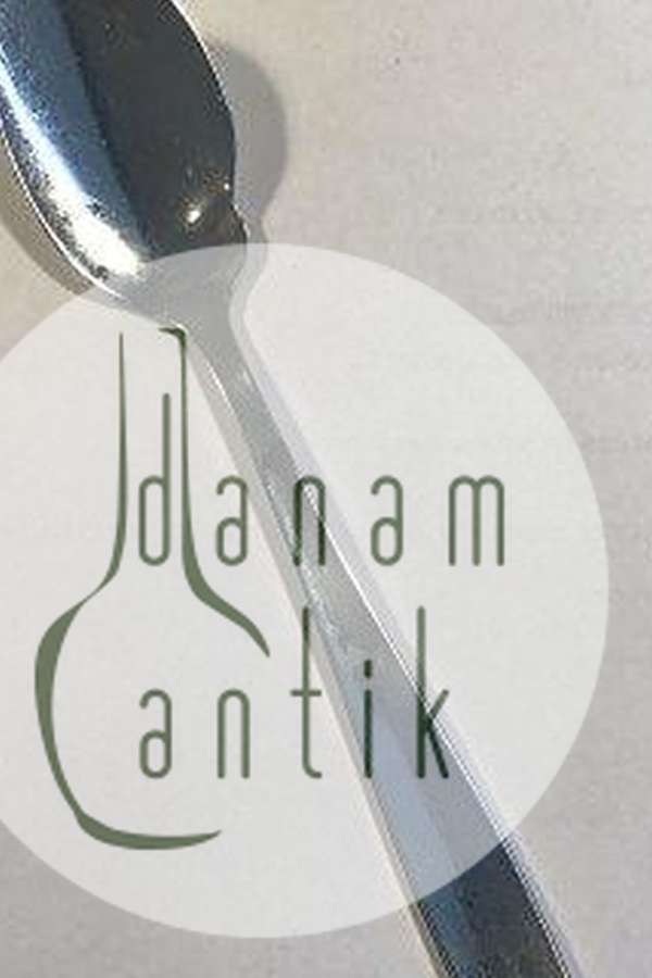 WMF  Stål Gourmet Ske