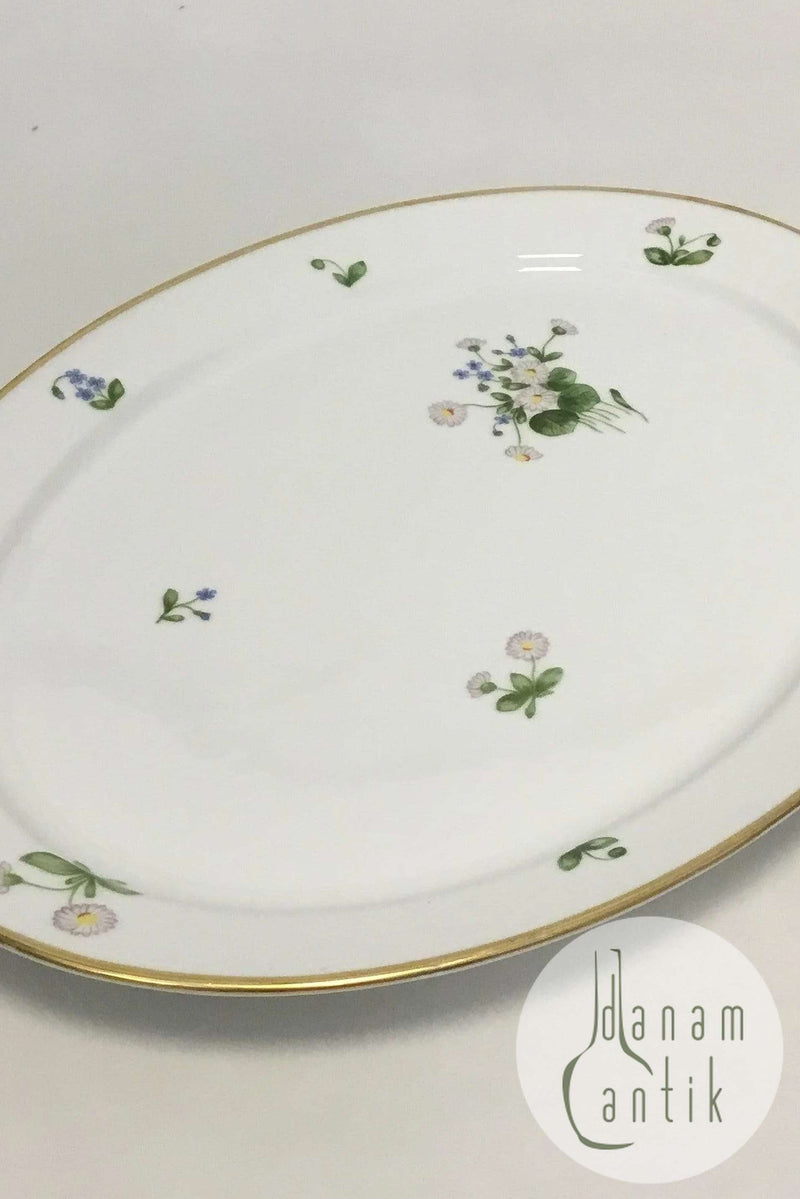 Royal Copenhagen Bellis og Følfod Stort ovalt fad No 9010