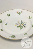 Royal Copenhagen Bellis og Følfod Spisetallerken No 9051