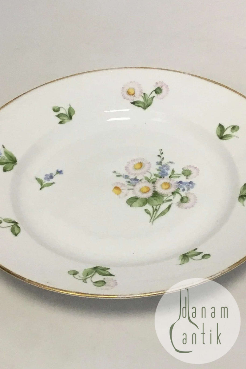 Royal Copenhagen Bellis og Følfod Spisetallerken No 9051