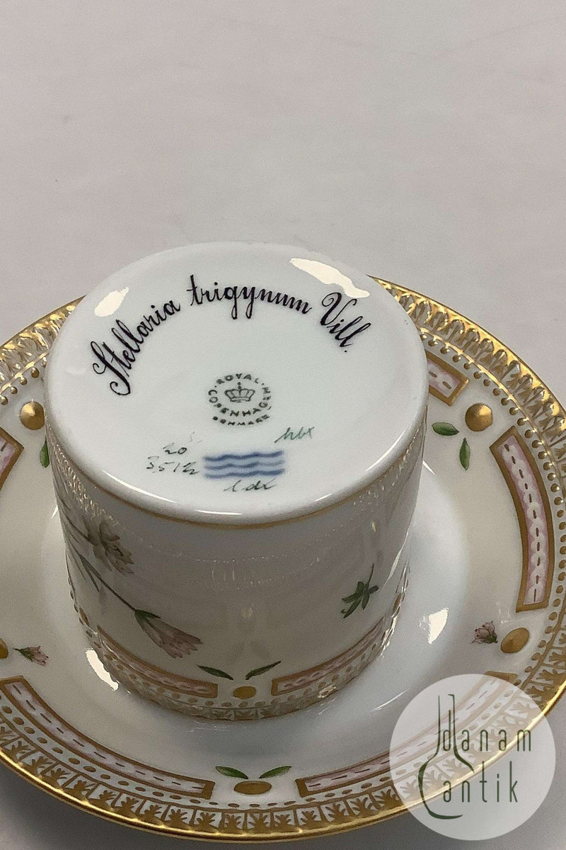Royal Copenhagen Flora Danica Chokoladekop No 20/3512
