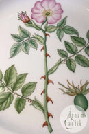 Royal Copenhagen Flora Danica Teller mit durchbrochenem Rand Nr. 20/3553