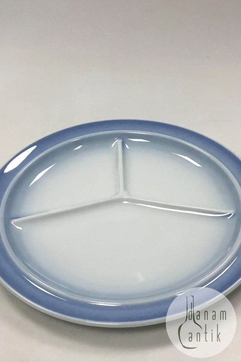 Bing and Grondahl Blue Tone Hotel Grill or Fondue Plate No 730