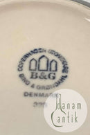 Bing og Grøndahl Stentøjsstel Peru Morgenskål No 323