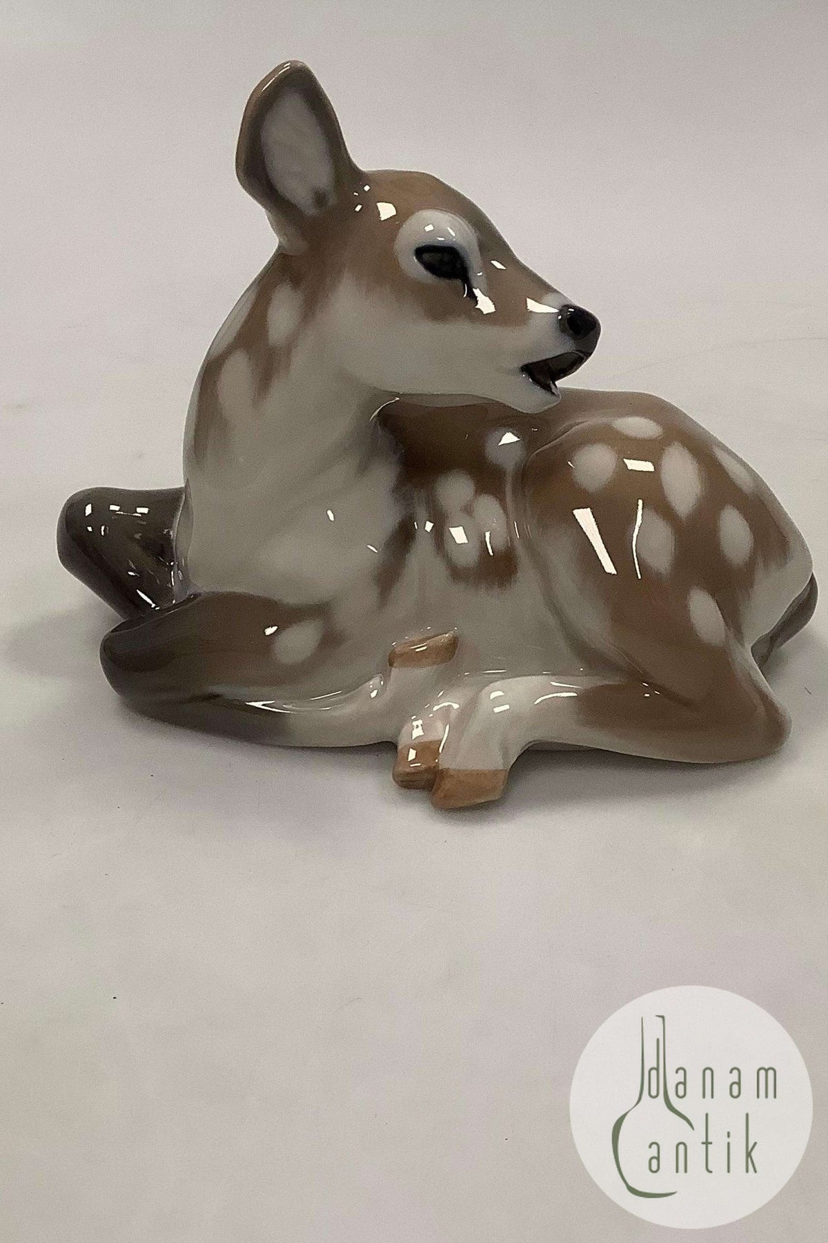 new1_6740229161069_1200x.jpg?v