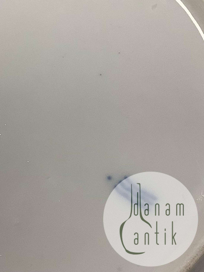 Antique Royal Copenhagen Light Saxon Dinner Plate