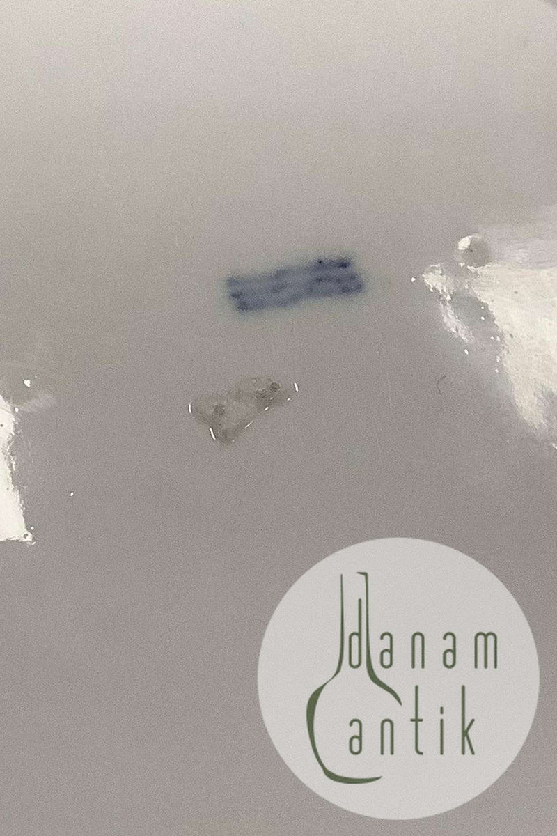 Antique Royal Copenhagen Light Saxon Dinner Plate