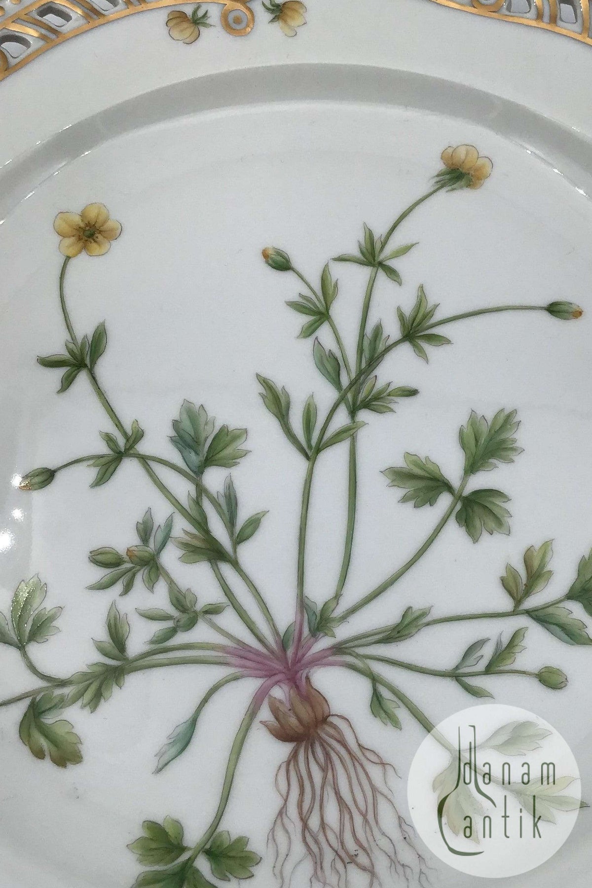 ロイヤルコペンハーゲン フローラダニカ プレート リム透かし彫り No