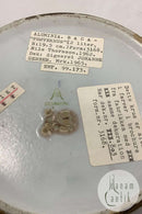 Royal Copenhagen Aluminia Baca Prøvekrus