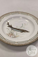 Royal Copenhagen Privat gemalt Flora Danica Fisch Teller Nr 3549