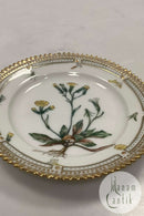 Royal Copenhagen Privat gemalt Flora Danica Kuchenteller Nr 3552