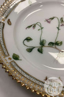 Royal Copenhagen Privat gemalt Flora Danica Kuchenteller Nr 3552