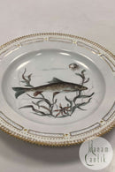 Royal Copenhagen Privat gemalt Flora Danica Fisch Teller Nr 3549