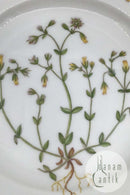 Royal Copenhagen Flora Danica Dessert Tallerken No 20/3551