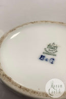 Bing和Grondahl新艺术风格的蓝白咖啡壶