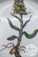 Royal Copenhagen Flora Danica Spisetallerken No. 624 (20/3549)